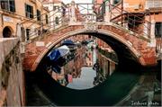 VENICE21 (20)